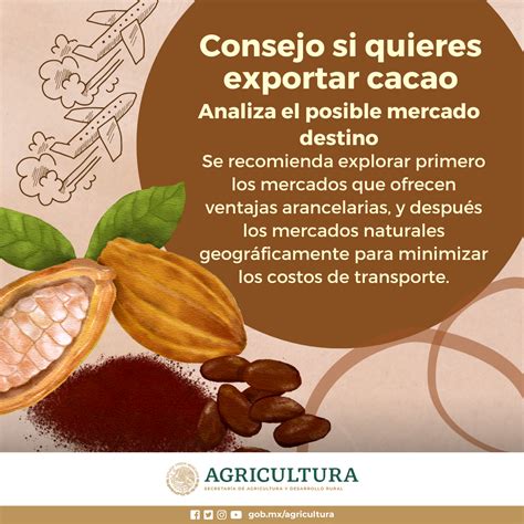 De M Xico Para El Mundo Cacao Secretar A De Agricultura Y Desarrollo