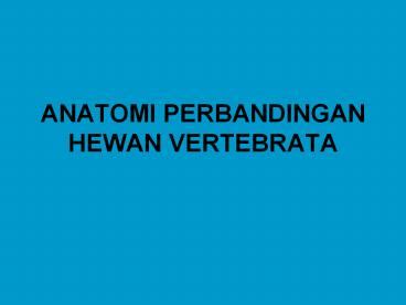 Anatomi Perbandingan Hewan Vertebrata The Best Porn Website