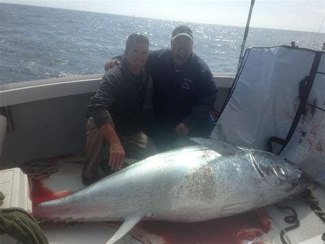 Cape Cod Shark Shark Tuna Fishing Photos | Cape Cod Fishing Charters ...