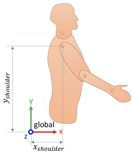 9.1.1. Global coordinate system — Biomechanical Analysis using Python ...