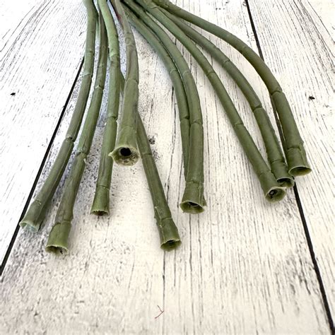 10 Thick Naked Floral Stems For DIY Bouquets 23 Inches Green Stems Etsy