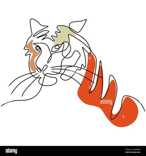 Dessin Minimaliste Tigre Banque De Photographies Et Dimages à Haute