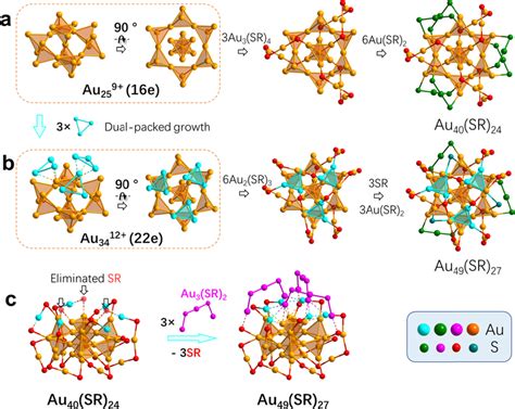 Comparative Analysis Of The Gold Core And The Au SR Ligand Motifs Of