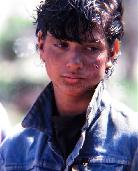 johnny cade | Ralph macchio the outsiders, The outsiders johnny, Ralph ...