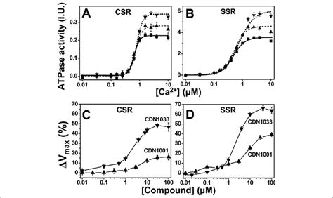 Atpase Assays Atpase Activity Was Measured After 20 Min Incubation In