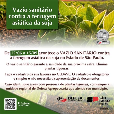 Sanidade Vegetal Vazio Sanit Rio Da Soja Tem In Cio E Vai At De