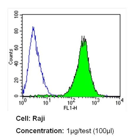 Icam Monoclonal Antibody A Invitrogen G Unconjugated