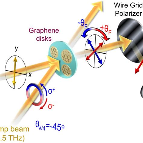 Schematic Of The Experiment For Pump Induced Faraday Rotation θf On