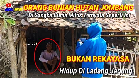 ORANG BUNIAN HUTAN JOMBANGDi Sangkan Mitos Ternyata Seperti Ini