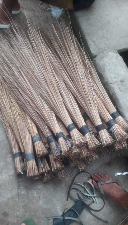 Baguio Made Walis Tambo Lazada PH