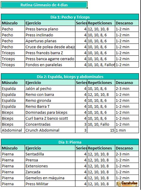 Plantilla Para Rutina De Gimnasio Excel Descarga Gratis