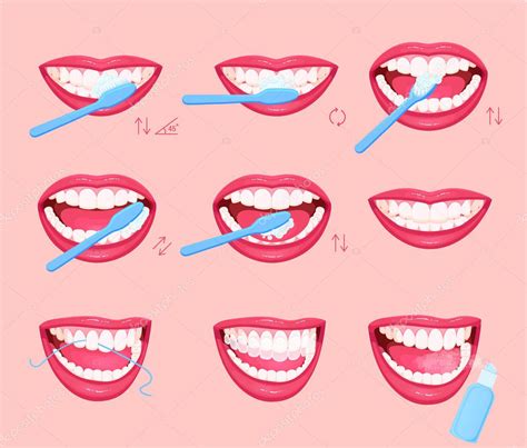 Cómo Cepillarse Los Dientes Instrucción Infografías Estilo De Vida Saludable 2023