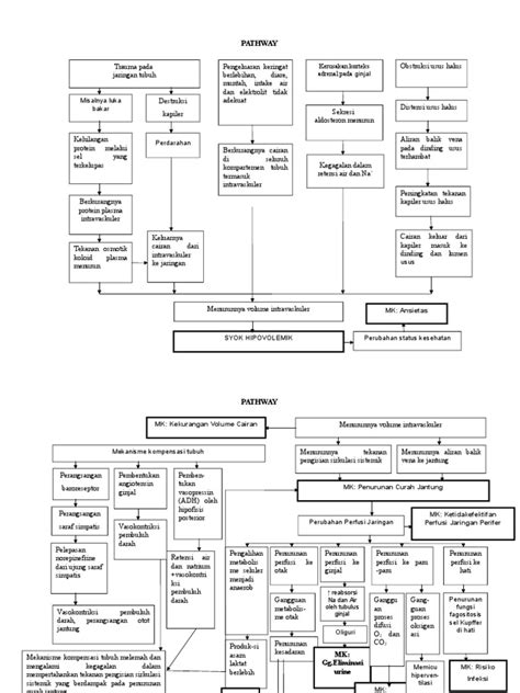 Pathway Hipovolemia