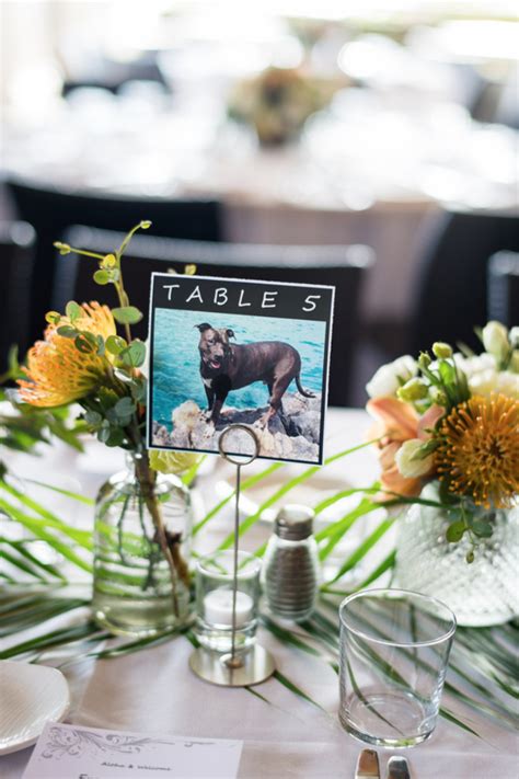 Table Number With Photo Of Bride And Grooms Dog Table Numbers Table