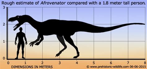 Afrovenator Pictures & Facts - The Dinosaur Database