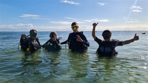 Puerto Morelos Buceo En El Bosque Submarino Del Cenote Angelita