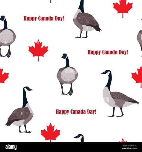 Red maple leaves and Canadian geese on white background. Canada Day