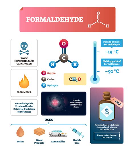 Stunning Meals That Comprise Formaldehyde - Being Teaching 2024