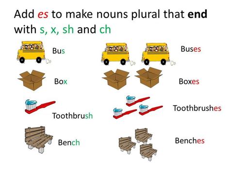 Plural Nouns Ending In S Sh Ch X Worksheets