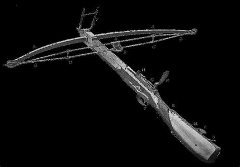 Understanding the Anatomy of a Crossbow