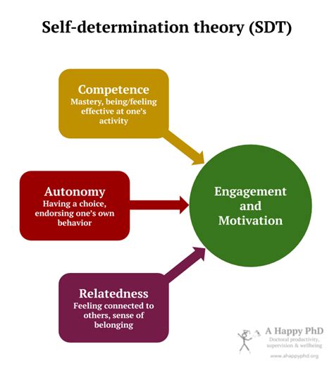 A Happy Phd Choosing Not To Drop Out A View From Self Determination