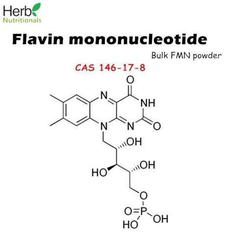 Flavin mononucleotide - Alchetron, The Free Social Encyclopedia