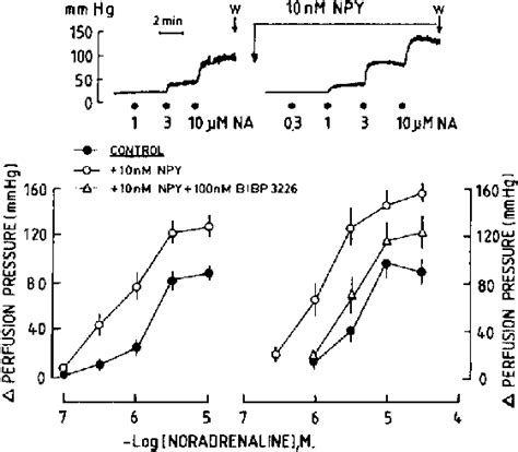 Potentiation Of The Vasomotor Effect Of NA Caused By Perfusion Of The