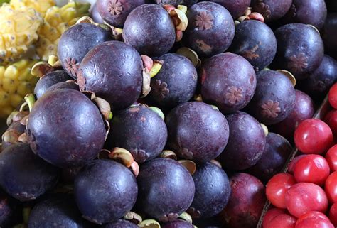 List Of Colombian Fruits Exotic Fruit Guide