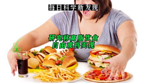 研究称高脂饮食自由或将实现新浪新闻