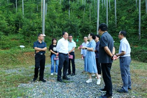 福建省林业局领导赴三明调研指导营造林等工作 图片新闻 福建省林业局