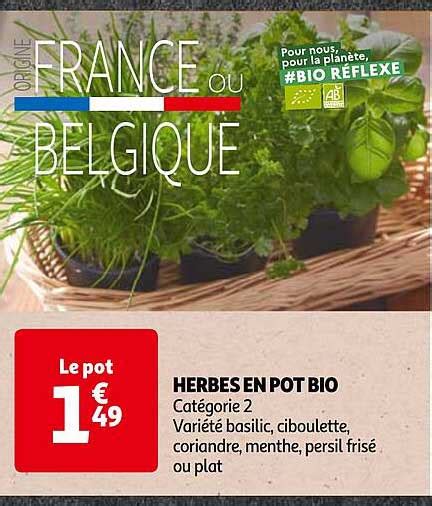 Promo Herbes En Pot Bio Chez Auchan ICatalogue Fr