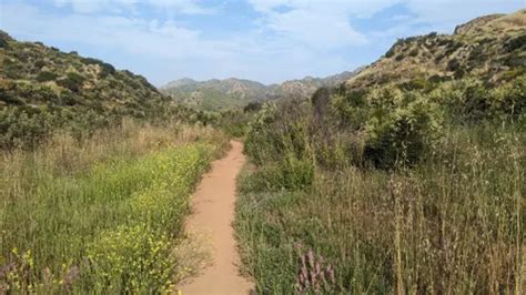 10 Best Mountain Biking Trails in Agoura Hills | AllTrails