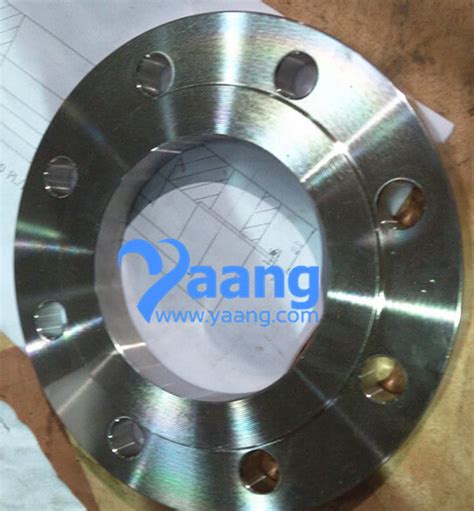 EN1092 1 01 B1 316L Plate Flange RF DN100 PN16 Yaang