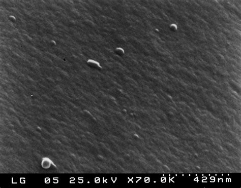 Sem Micrograph Of Glass 2 Heat Treated For 60 Min At The Optimum Download Scientific Diagram