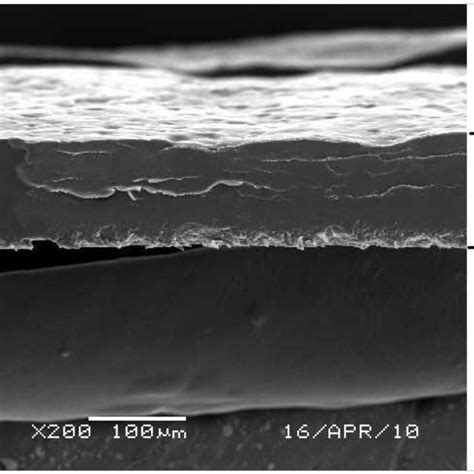 Thick Film Of Polystyrene Sulfonatepolydimethyldiallylamine Psspdda