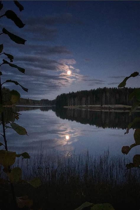 Full Moon Setting over Lake with Forest at Night