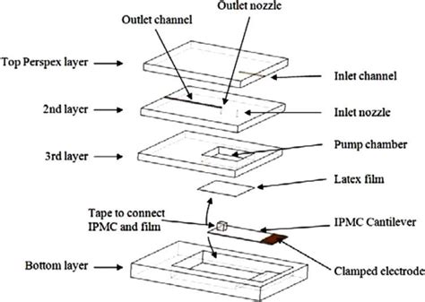 Layers and components of designed micropump in [97]. | Download ...