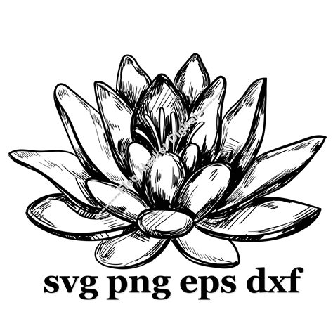 White Lotus SVG PNG EPS Dxf Clipart Etsy