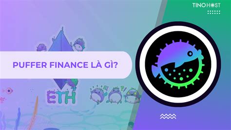 Puffer Finance là gì Tại sao cần quan tâm giao thức này