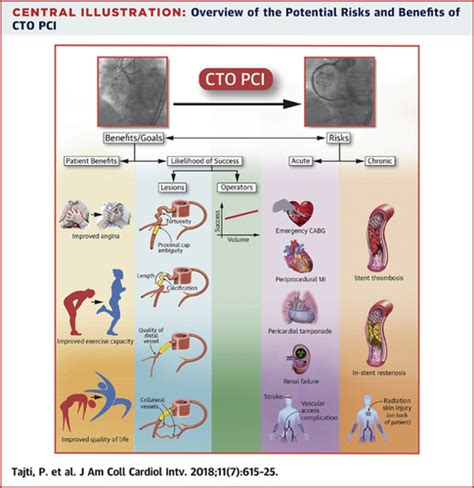 Update In The Percutaneous Management Of Coronary Chronic Total