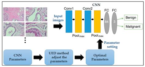 Diagnostics Free Full Text Optimization Of Deep Learning Network