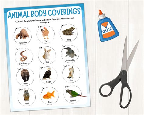 First Grade Science Lesson Plans Animal Coverings 10