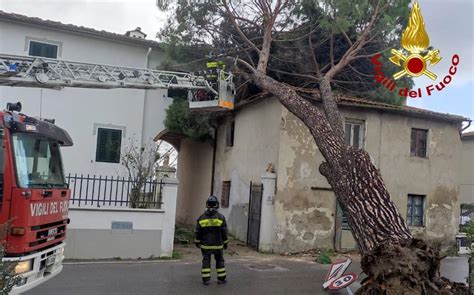 Onde Altre Metri E Strade Invase Dal Mare Il Maltempo Flagella La