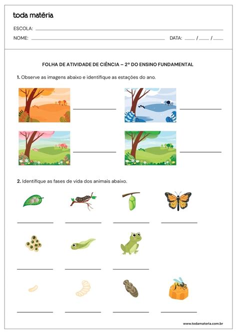 6 Folhas de Atividades de Ciências para o 2º ano do Ensino Fundamental ...