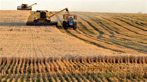 Despite The Political Upheaval Argentine Farmers Are Expecting