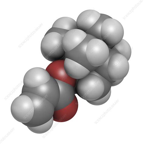 Isobornyl acrylate molecule, illustration - Stock Image - F032/9632 - Science Photo Library