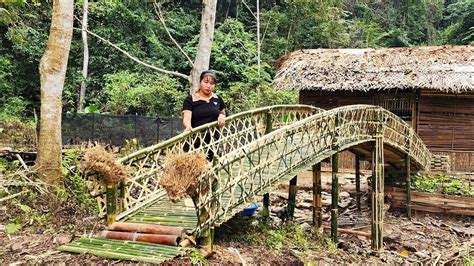 Timelapse Start To Finish Building A Bamboo Bridge Across A Stream