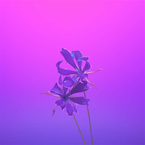 Violet Flower Wallpaper Iphone - 1024x1024 Wallpaper - teahub.io