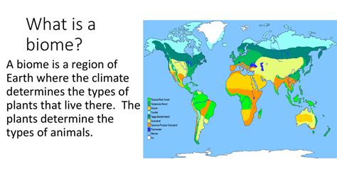 What Is A Biome