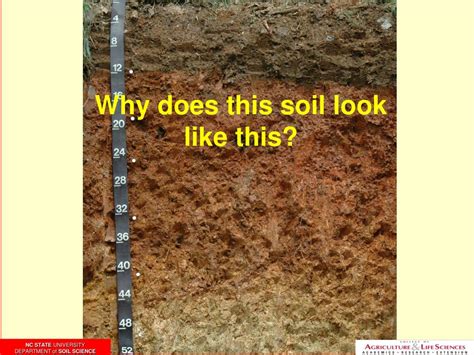 Ppt Redoximorphic Features Wetness Indicators And Disturbed Soils